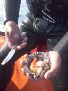 WhatsApp Image 2023-05-25 at 11.38.35