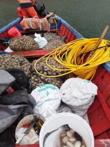 WhatsApp Image 2025-09-03 at 21.03.28 (1)