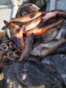 WhatsApp Image 2025-09-03 at 21.03.28