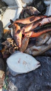 WhatsApp Image 2025-09-03 at 221.03.27